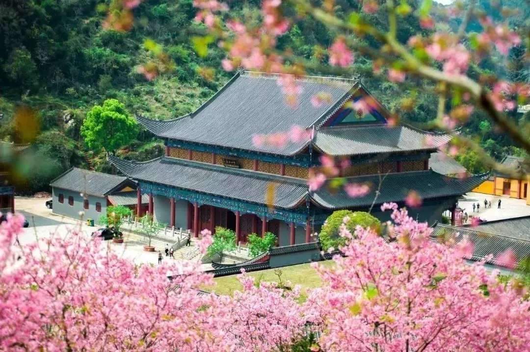 “寺”曾相識(shí)，禪音共鳴--公信網(wǎng)絡(luò)廣播解決方案