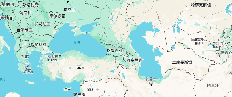 格魯吉亞各領(lǐng)域國(guó)際合作交流會(huì)議，公信榮幸助力其中